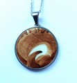 20251127_134744.jpg