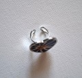 20260825_101003.jpg