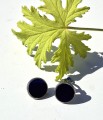 20260826_153959.jpg